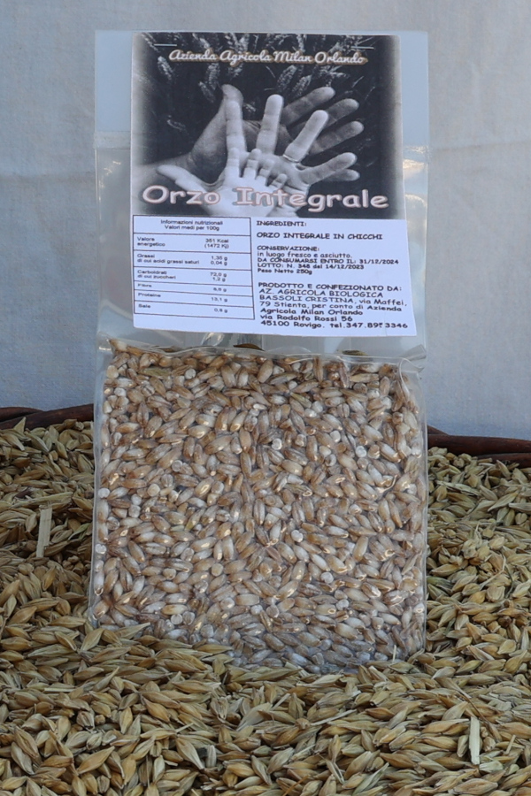 Orzo in chicchi