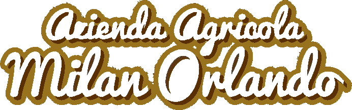 Pasta & Orzo Artigianale